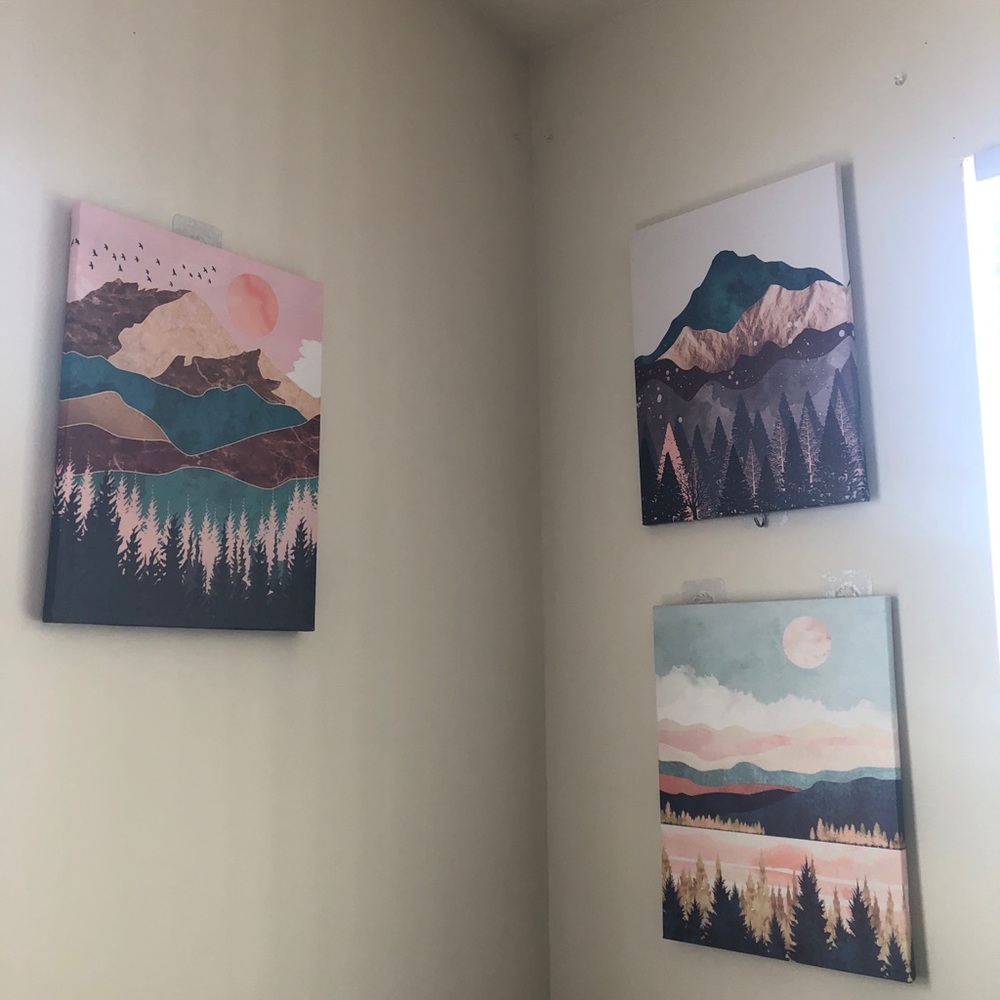 Set of 3 boho canvases